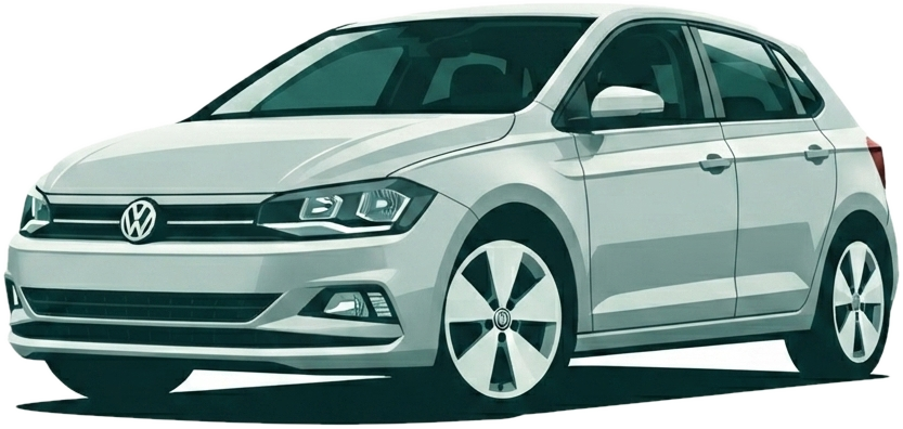 VW Polo & Vivo specialist